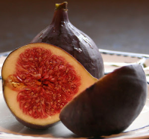 figs.2